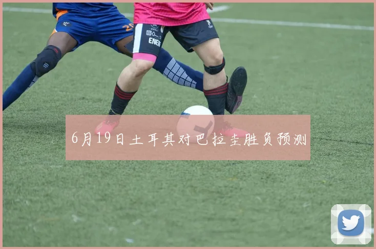 6月19日土耳其对巴拉圭胜负预测