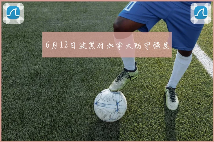 6月12日波黑对加拿大防守强度