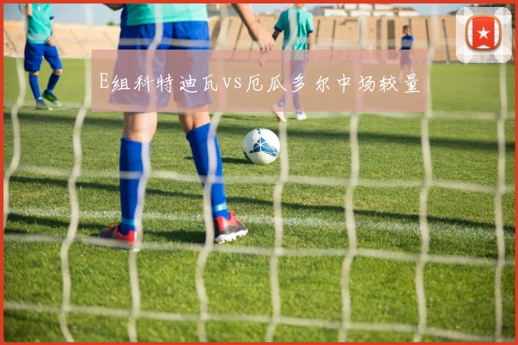 E组科特迪瓦vs厄瓜多尔中场较量