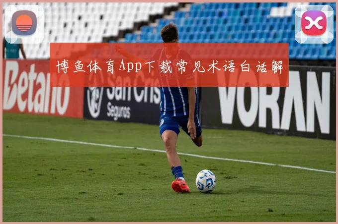 博鱼体育App下载常见术语白话解
